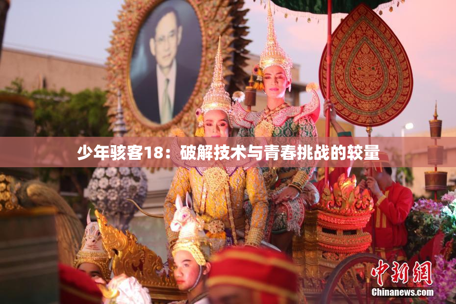 少年骇客18：破解技术与青春挑战的较量