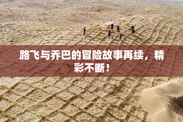 路飞与乔巴的冒险故事再续，精彩不断！