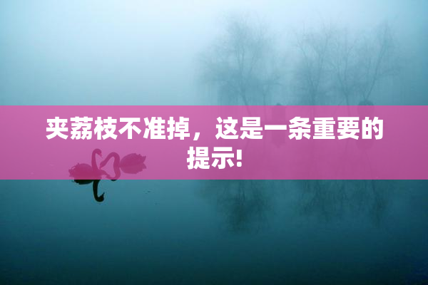 夹荔枝不准掉，这是一条重要的提示!