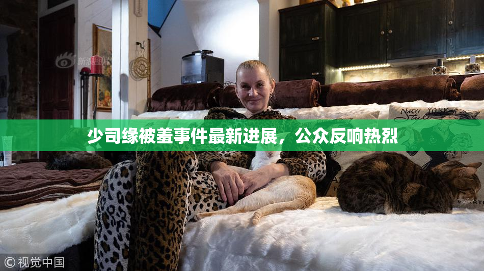少司缘被羞事件最新进展，公众反响热烈