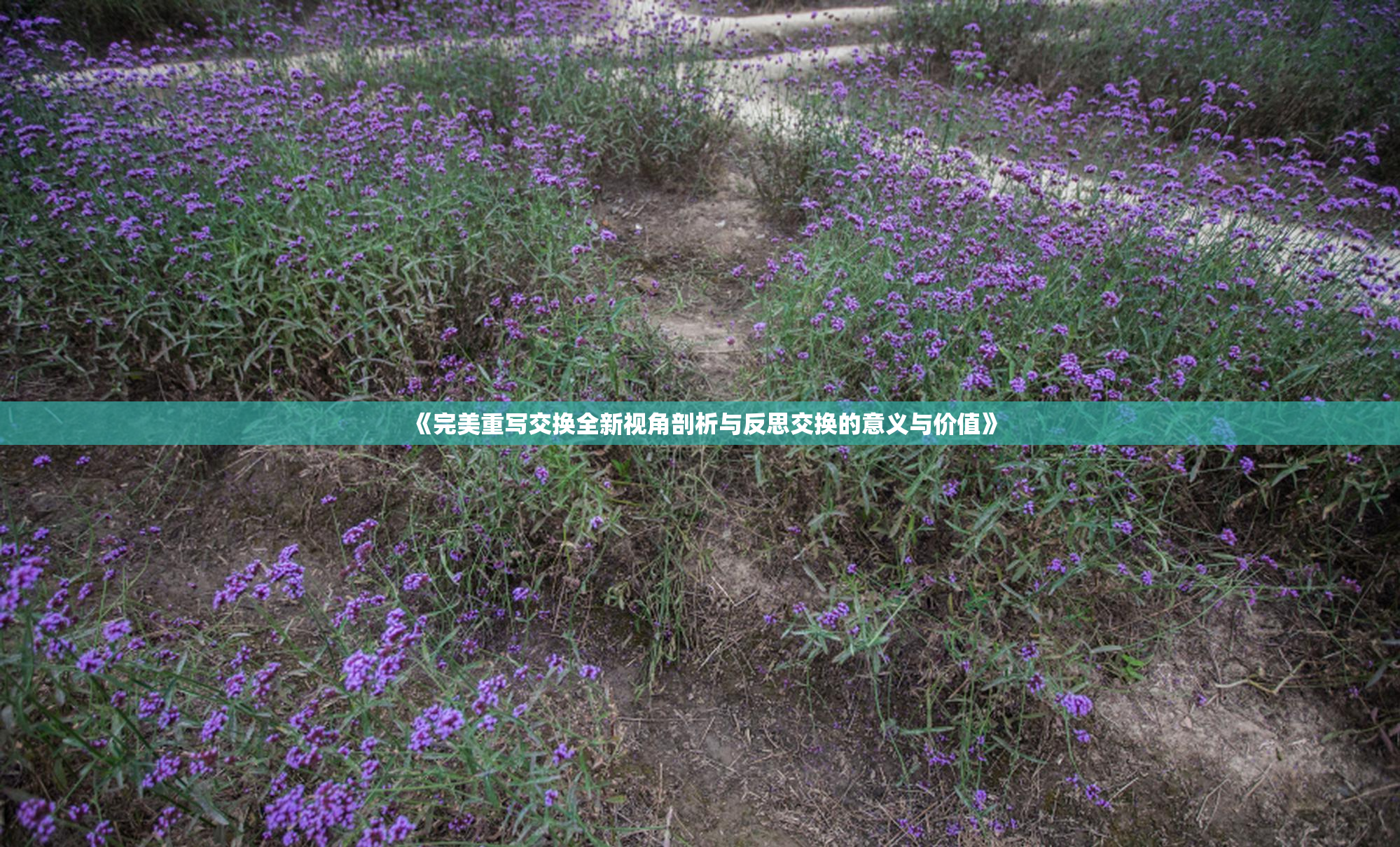 《完美重写交换全新视角剖析与反思交换的意义与价值》