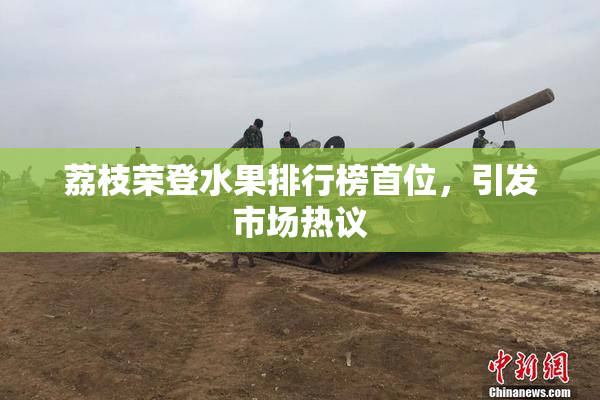 荔枝荣登水果排行榜首位，引发市场热议