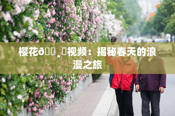 樱花🌸‌视频：揭秘春天的浪漫之旅