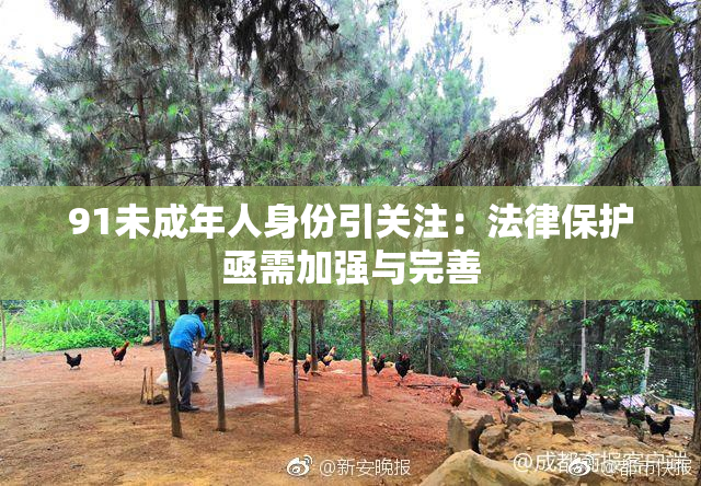 91未成年人身份引关注：法律保护亟需加强与完善