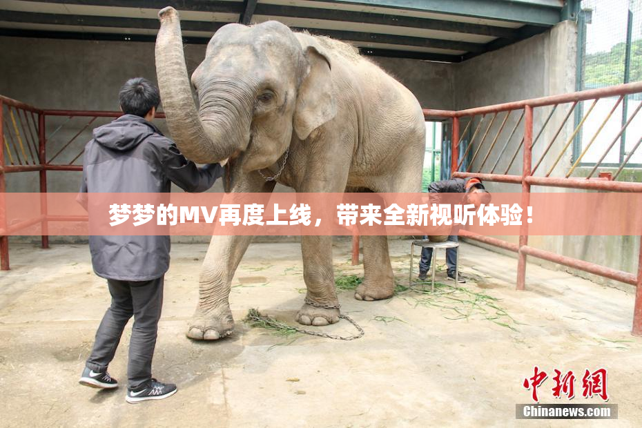 梦梦的MV再度上线，带来全新视听体验！