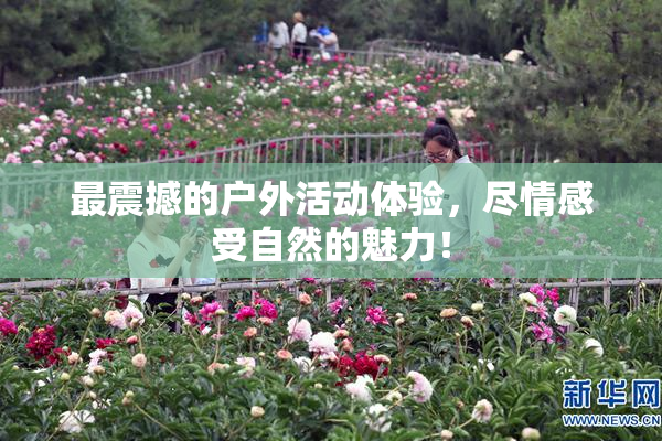 最震撼的户外活动体验，尽情感受自然的魅力！