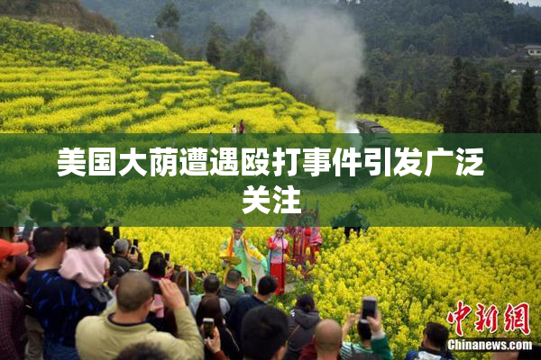 美国大荫遭遇殴打事件引发广泛关注