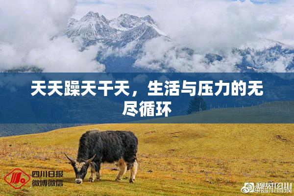 天天躁天干天，生活与压力的无尽循环