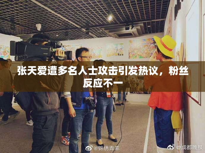 张天爱遭多名人士攻击引发热议，粉丝反应不一