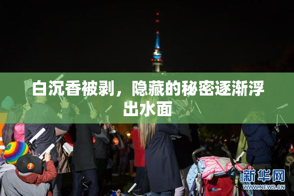 白沉香被剥，隐藏的秘密逐渐浮出水面