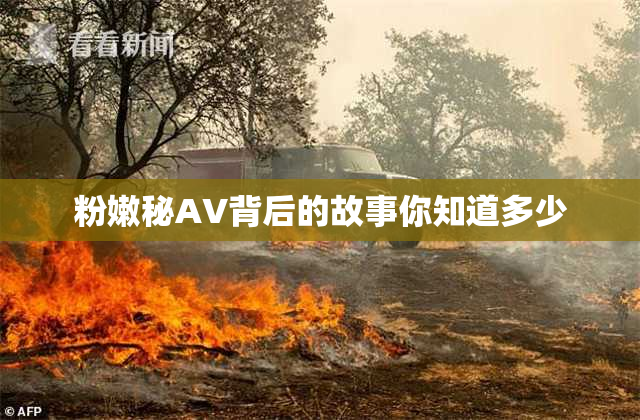 粉嫩秘AV背后的故事你知道多少
