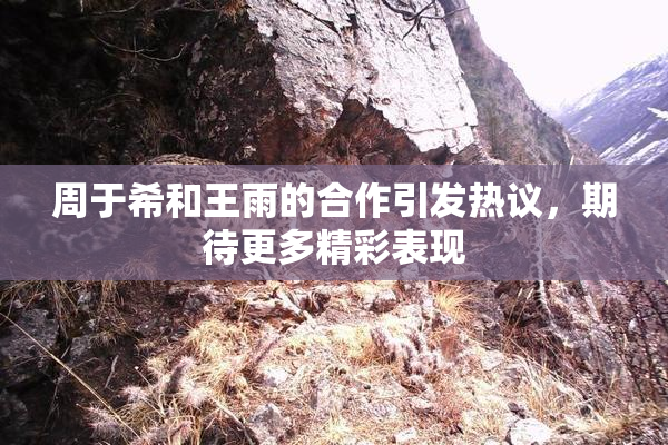 周于希和王雨的合作引发热议，期待更多精彩表现
