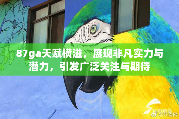 87ga天赋横溢，展现非凡实力与潜力，引发广泛关注与期待