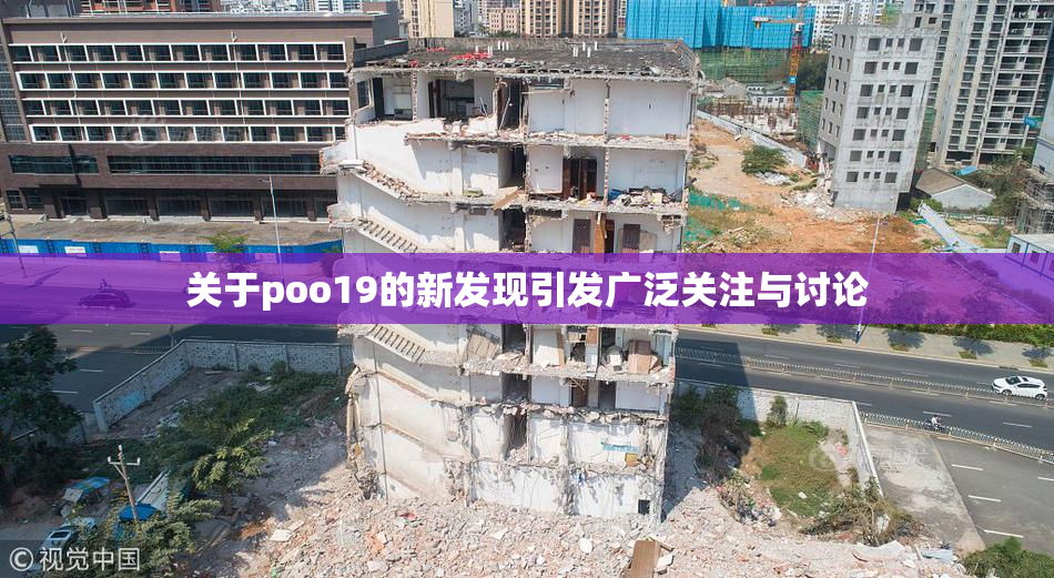关于poo19的新发现引发广泛关注与讨论