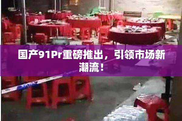 国产91Pr重磅推出，引领市场新潮流！
