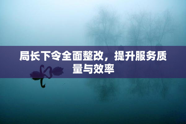 局长下令全面整改，提升服务质量与效率
