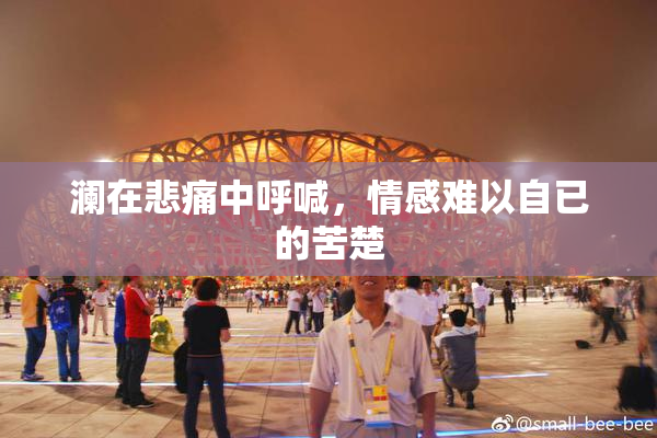 澜在悲痛中呼喊，情感难以自已的苦楚