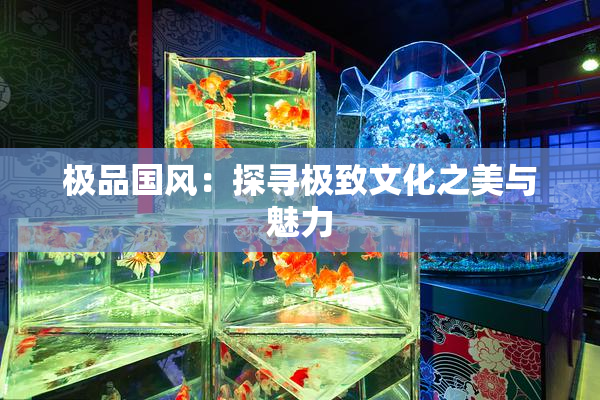 极品国风：探寻极致文化之美与魅力