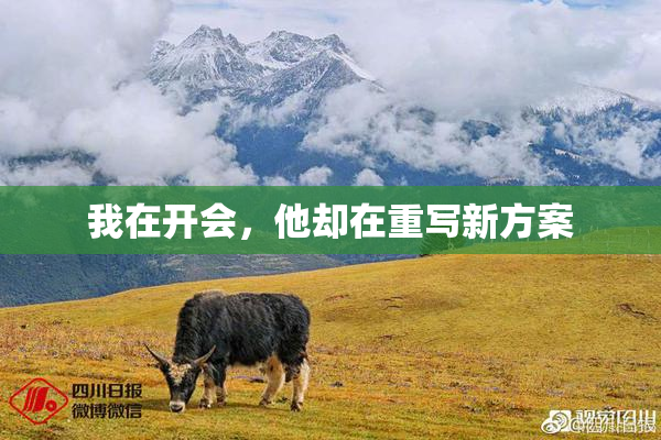我在开会，他却在重写新方案