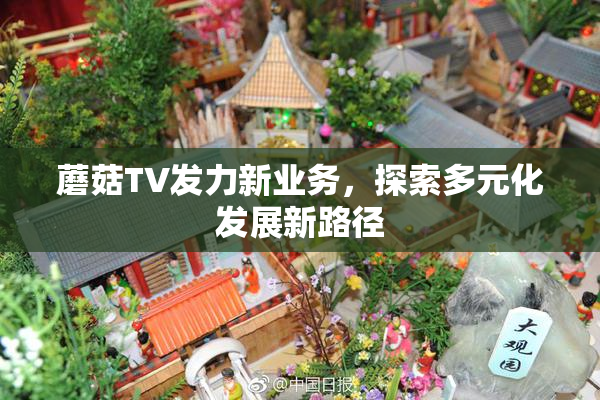 蘑菇TV发力新业务，探索多元化发展新路径