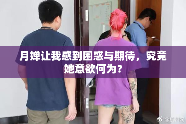 月婵让我感到困惑与期待，究竟她意欲何为？