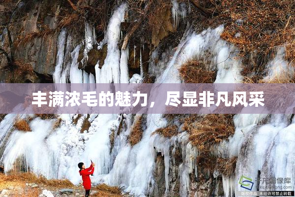 丰满浓毛的魅力，尽显非凡风采