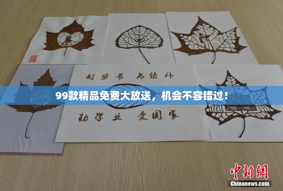 99款精品免费大放送，机会不容错过！
