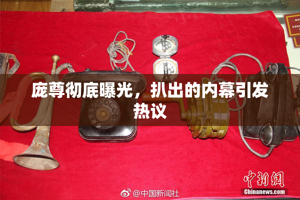 庞尊彻底曝光，扒出的内幕引发热议