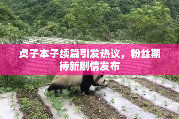 贞子本子续篇引发热议，粉丝期待新剧情发布