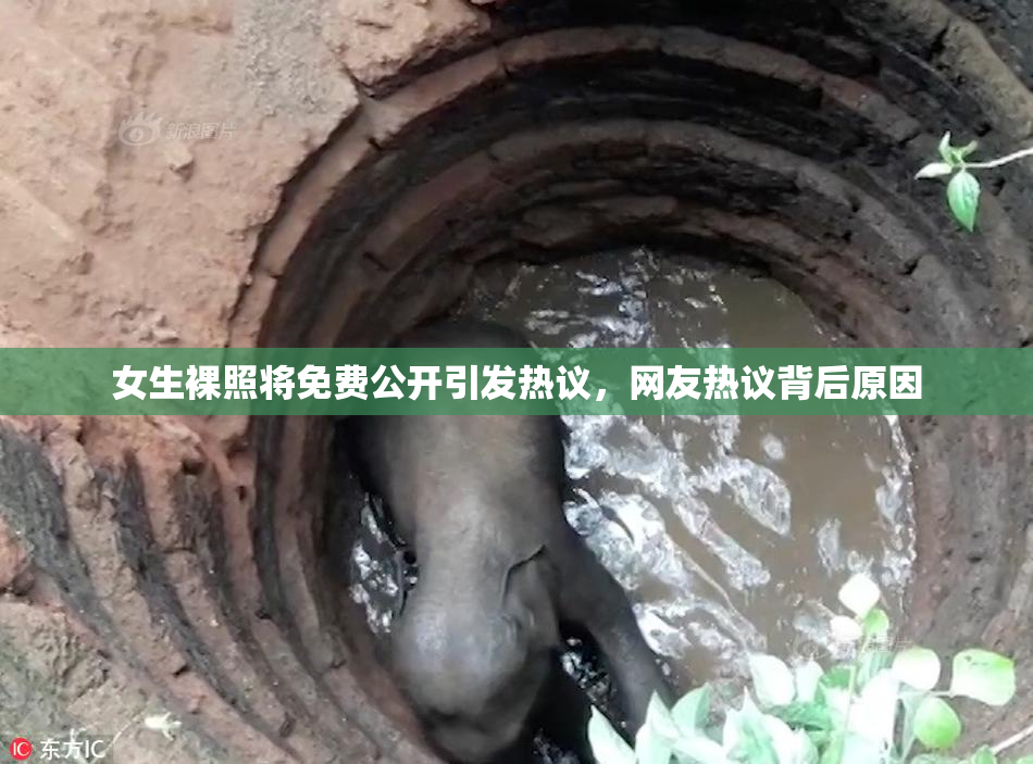 女生裸照将免费公开引发热议，网友热议背后原因