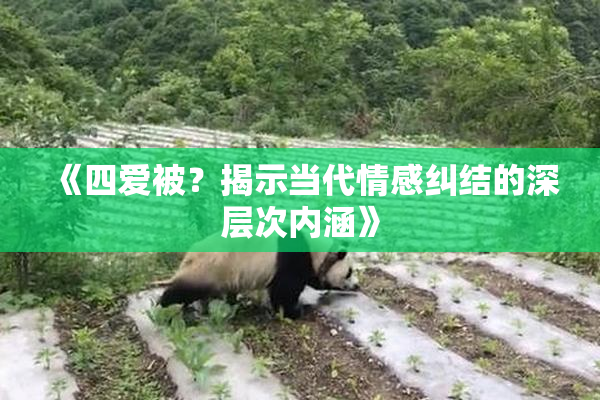 《四爱被？揭示当代情感纠结的深层次内涵》