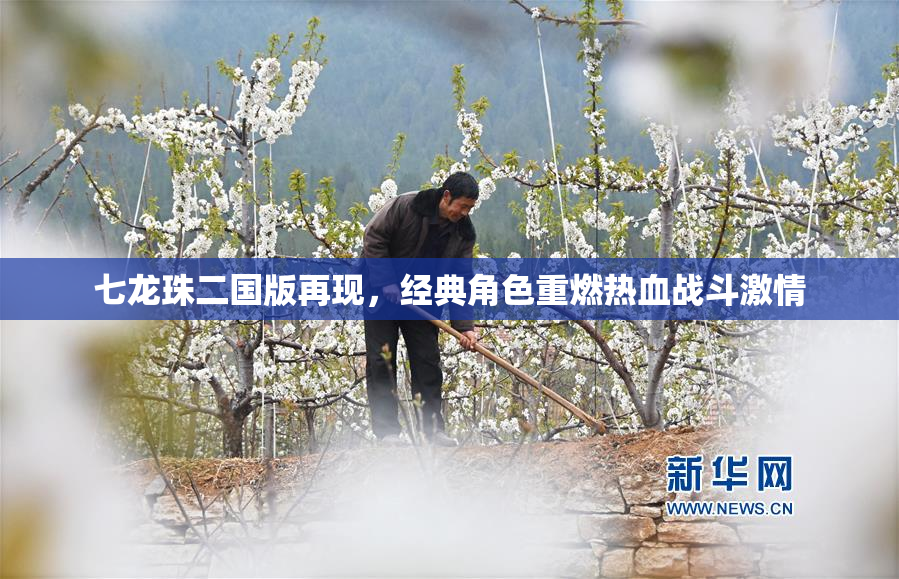 七龙珠二国版再现，经典角色重燃热血战斗激情