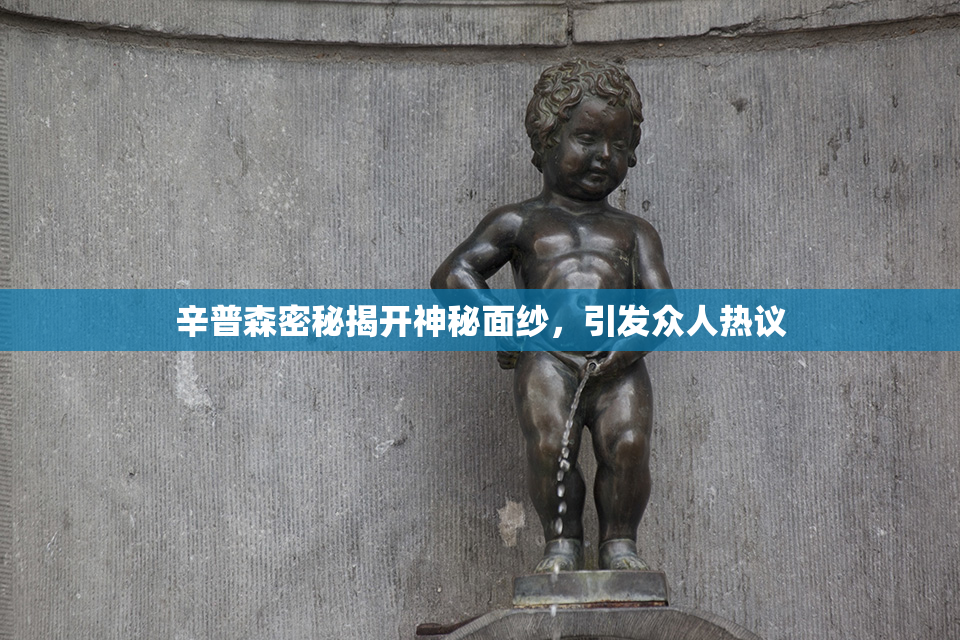 辛普森密秘揭开神秘面纱，引发众人热议