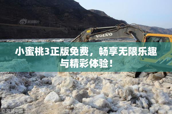 小蜜桃3正版免费，畅享无限乐趣与精彩体验！