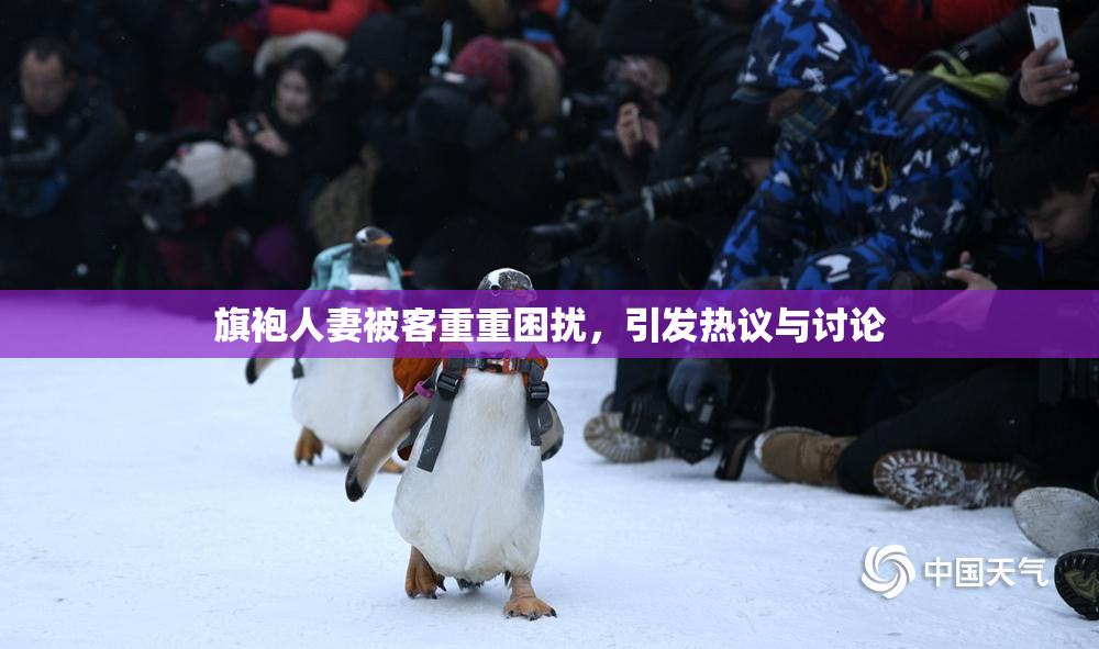 旗袍人妻被客重重困扰，引发热议与讨论