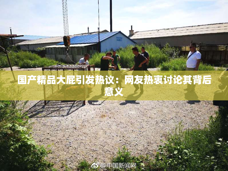 国产精品大屁引发热议：网友热衷讨论其背后意义