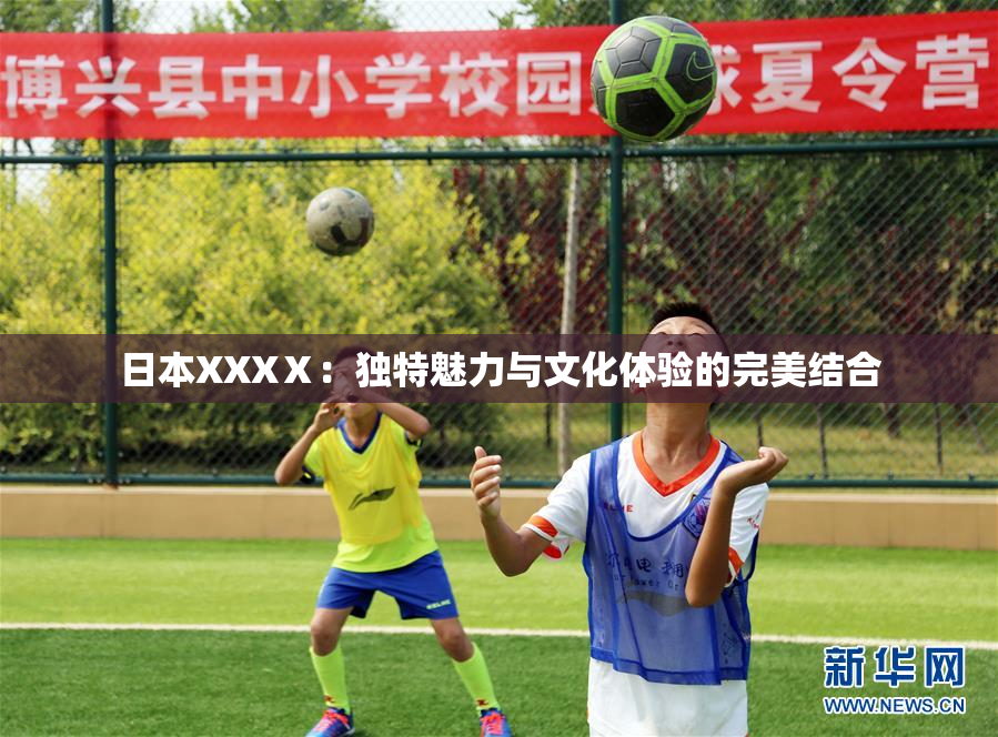日本XXXⅩ：独特魅力与文化体验的完美结合