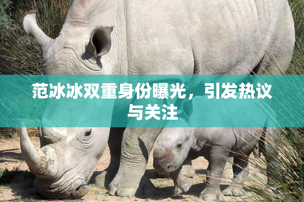 范冰冰双重身份曝光，引发热议与关注