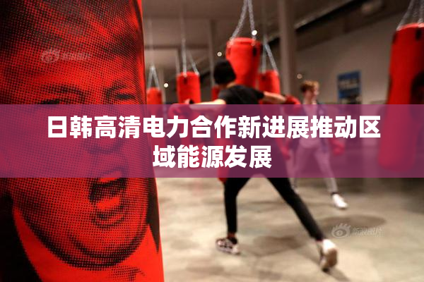 日韩高清电力合作新进展推动区域能源发展