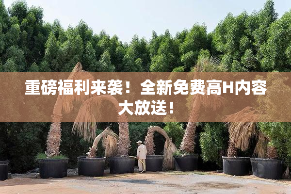 重磅福利来袭！全新免费高H内容大放送！