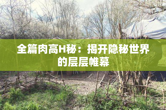 全篇肉高H秘：揭开隐秘世界的层层帷幕