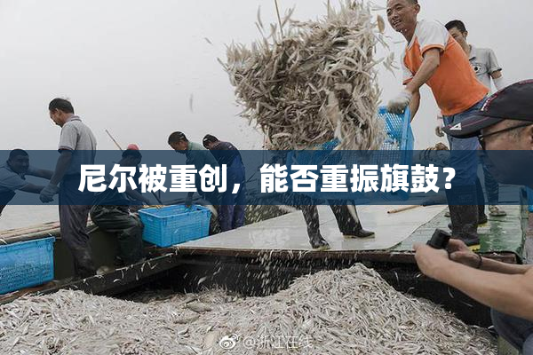 尼尔被重创，能否重振旗鼓？