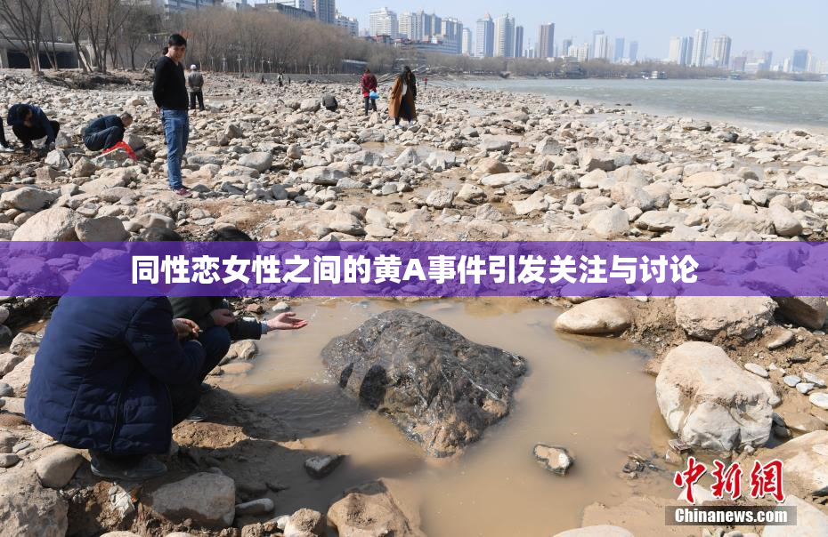 同性恋女性之间的黄A事件引发关注与讨论