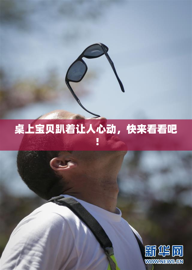 桌上宝贝趴着让人心动，快来看看吧！