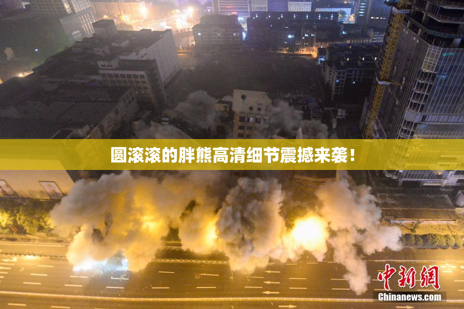 圆滚滚的胖熊高清细节震撼来袭！