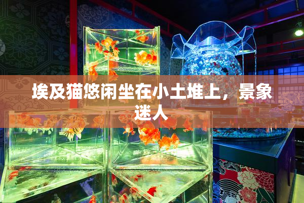 埃及猫悠闲坐在小土堆上，景象迷人