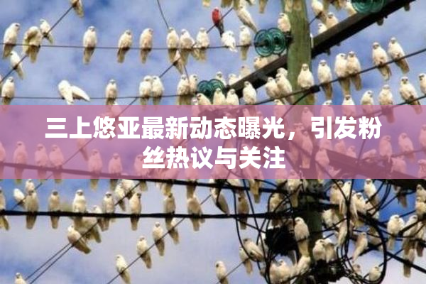 三上悠亚最新动态曝光，引发粉丝热议与关注