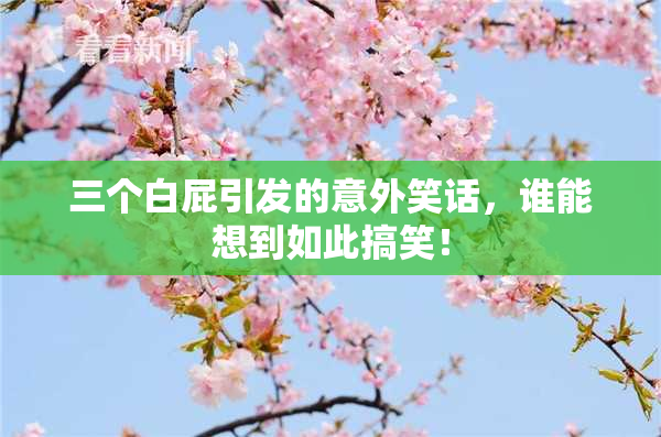 三个白屁引发的意外笑话，谁能想到如此搞笑！