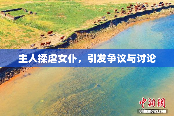 主人揉虐女仆，引发争议与讨论
