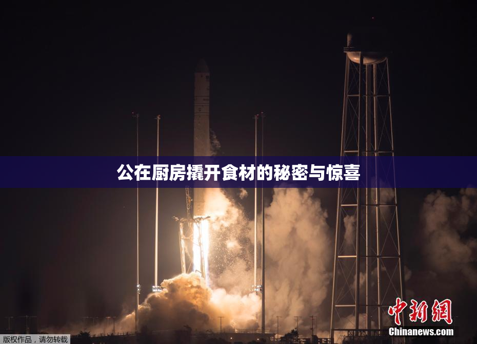 公在厨房撬开食材的秘密与惊喜